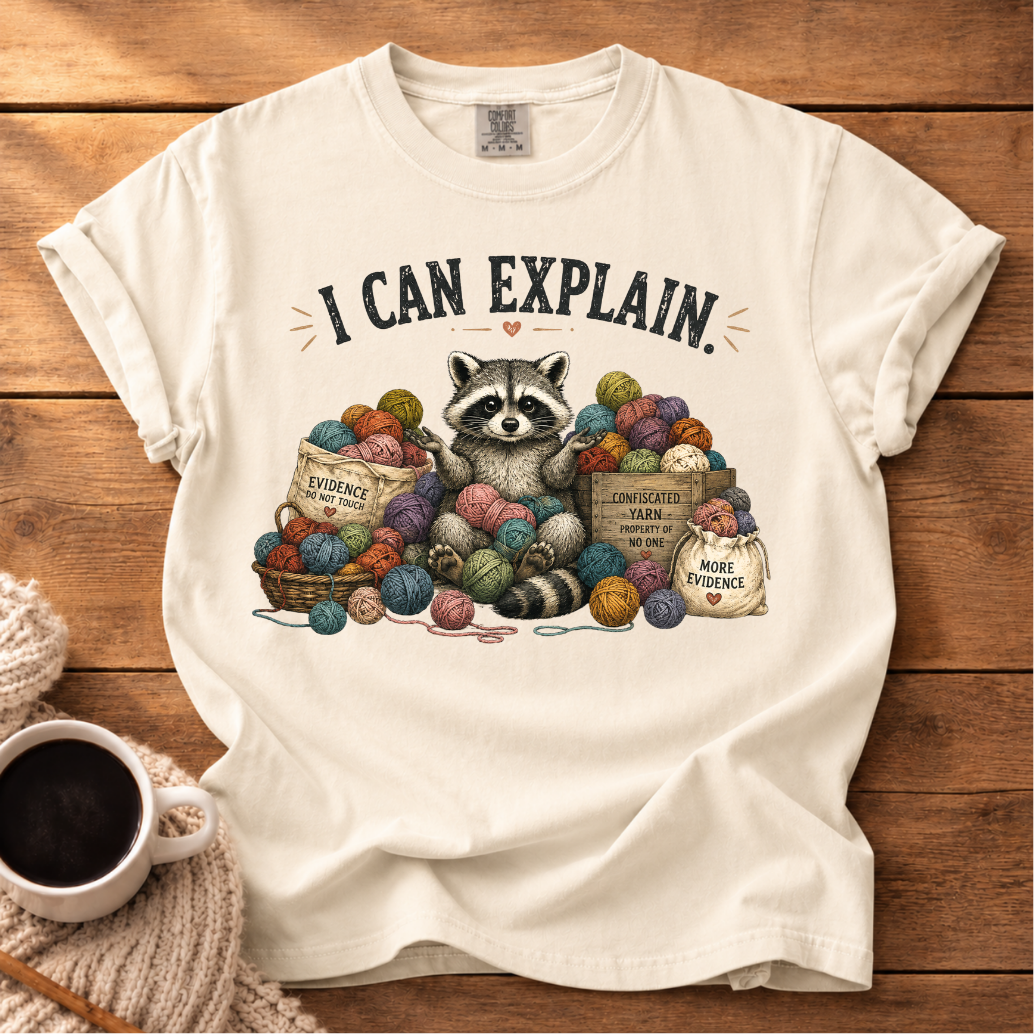 I Can Explain T-Shirt