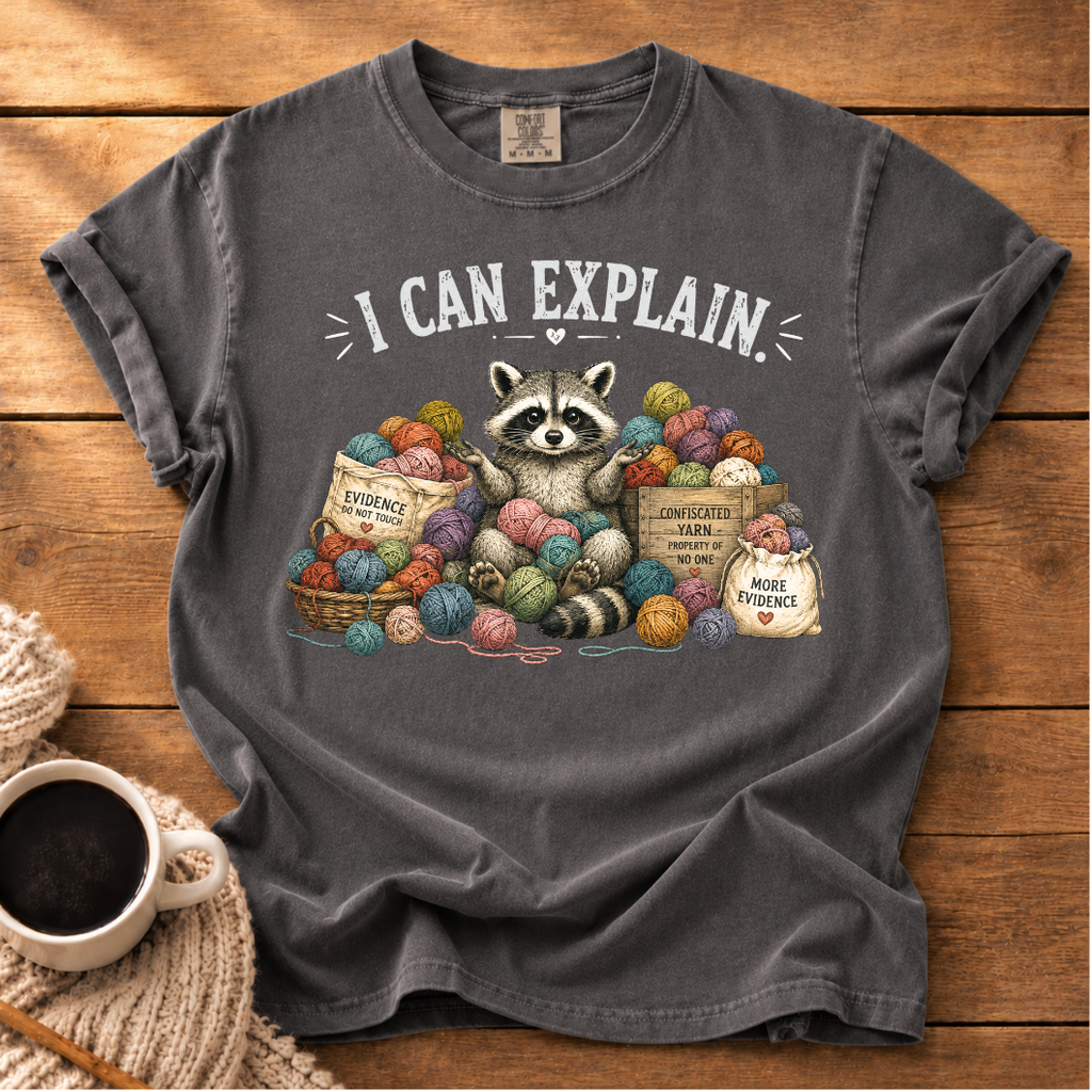 I Can Explain T-Shirt