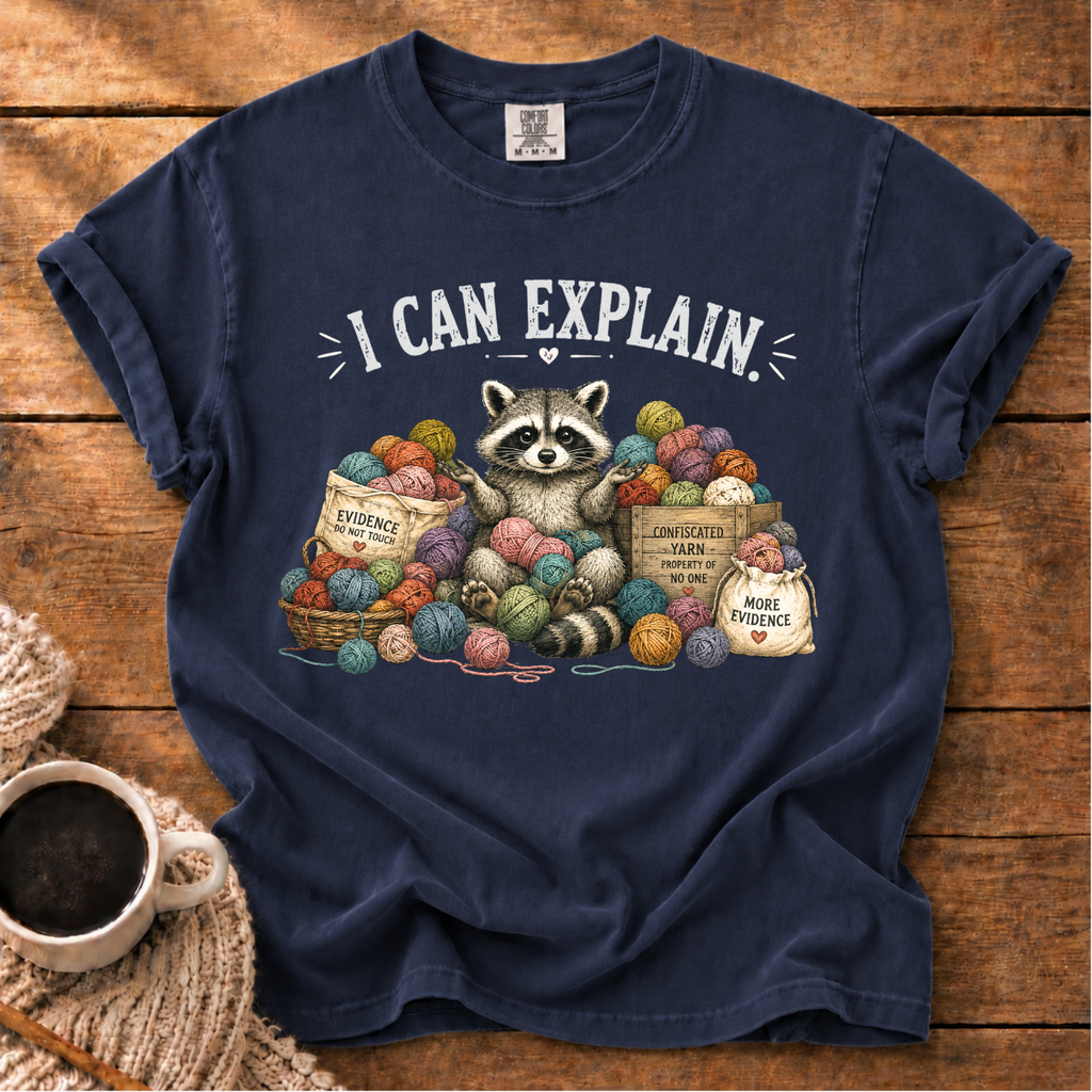 I Can Explain T-Shirt