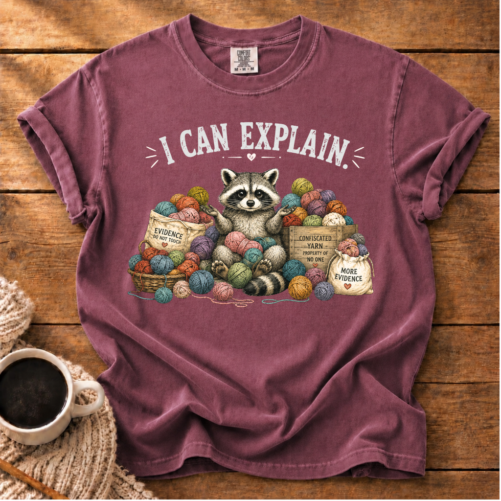 I Can Explain T-Shirt
