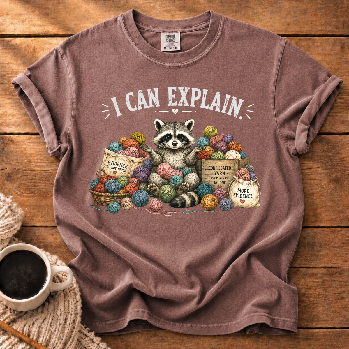 I Can Explain T-Shirt