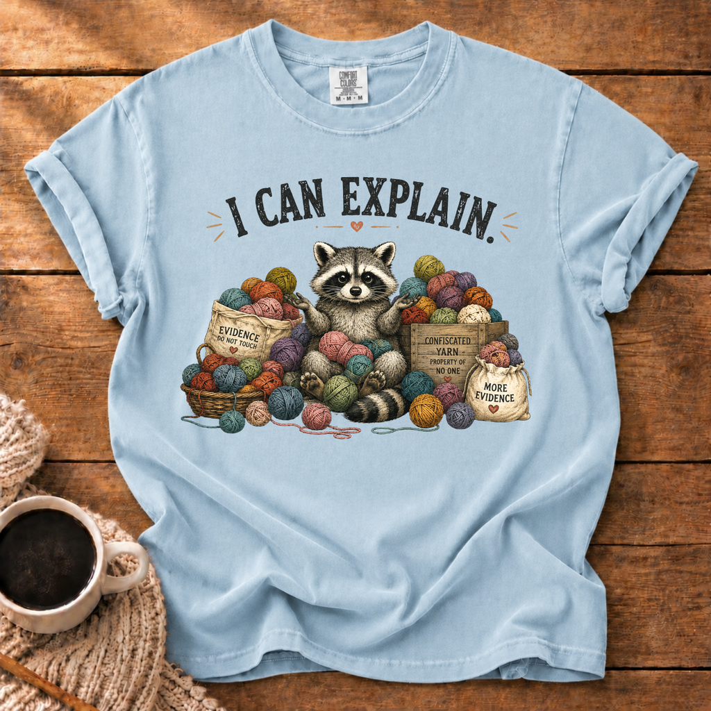 I Can Explain T-Shirt