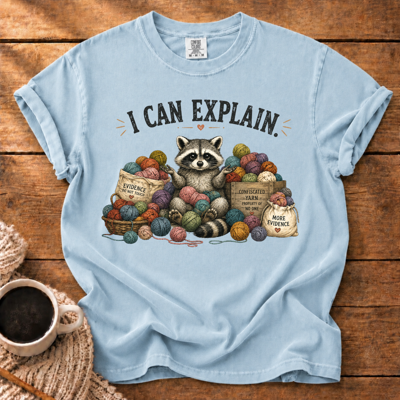 I Can Explain T-Shirt