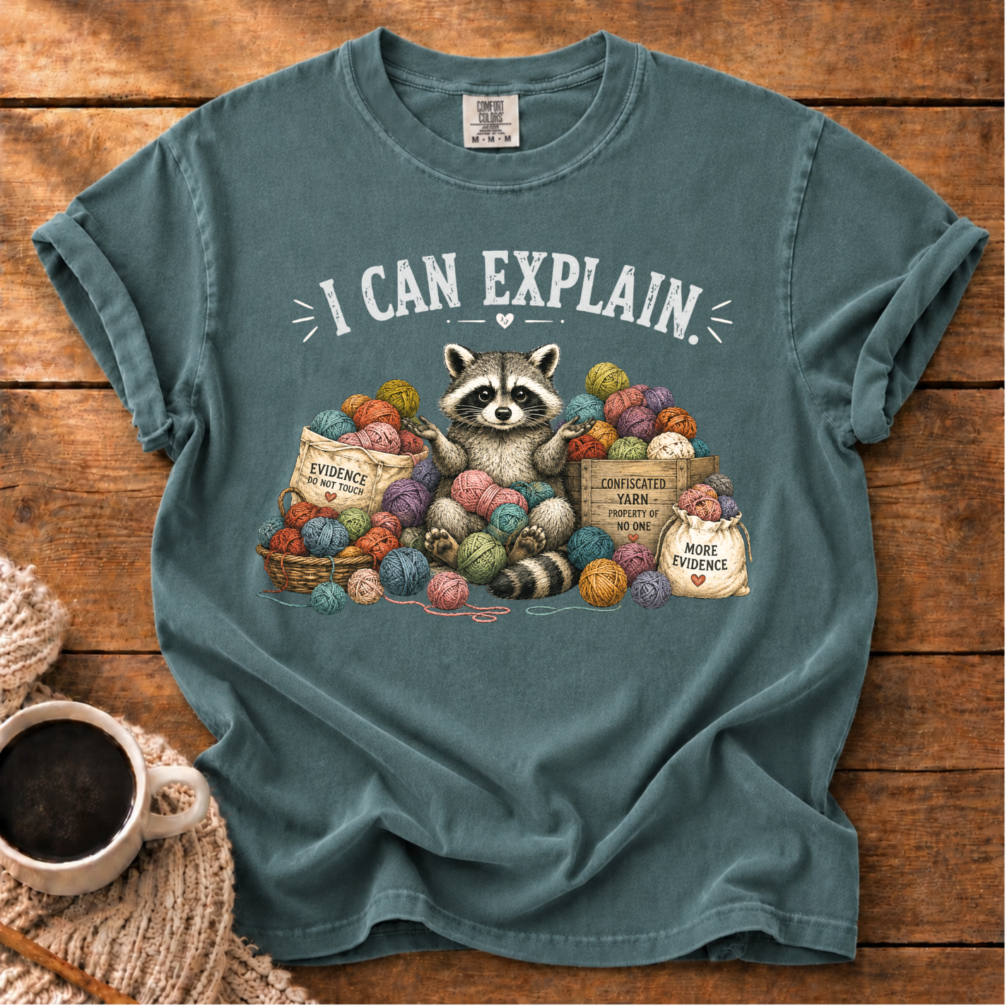 I Can Explain T-Shirt